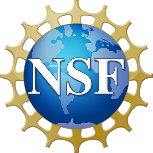 NSF Logo